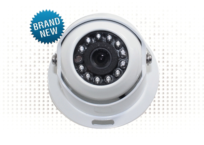 eyeball reversing camera
